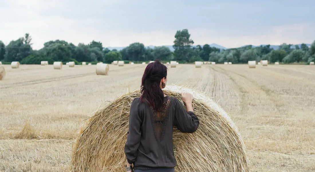 Person standing in a harvested field holding a large round bale of alfalfa hay.