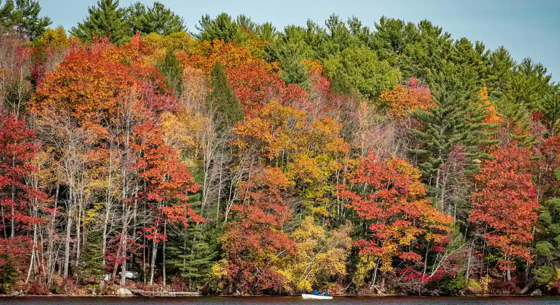 Autumn forest with vibrant red, orange, and yellow leaves along a calm lake.