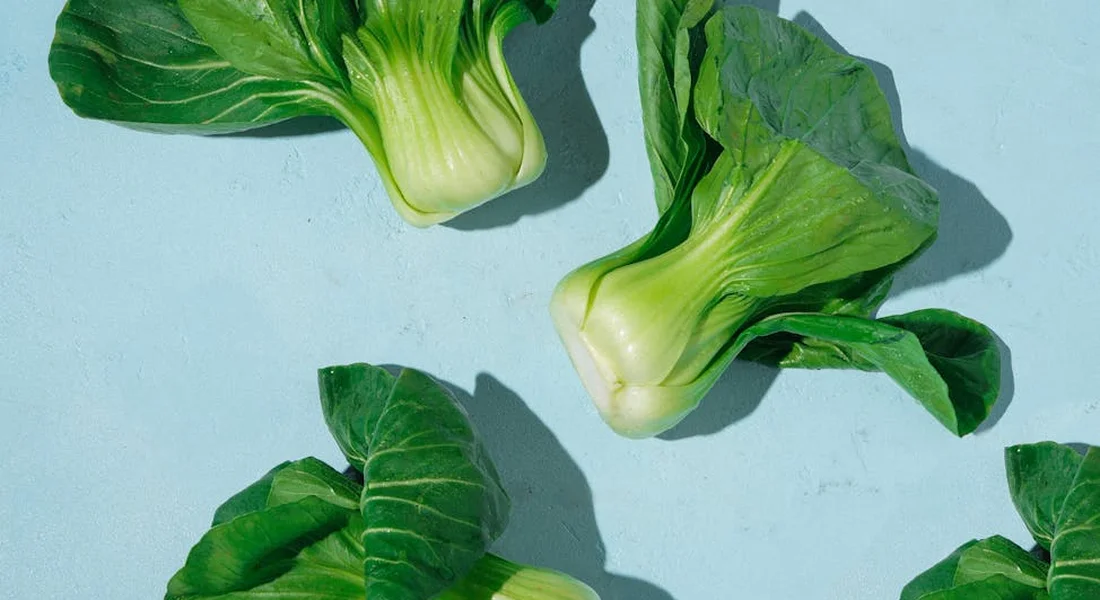 Fresh bok choy heads on a light blue surface, ready for sourcing and storage.