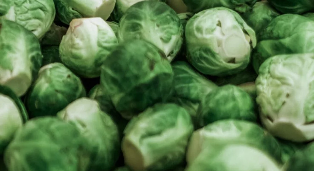 Close-up of fresh Brussels Sprouts