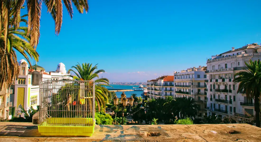 Bright yellow bird cage on a balcony ledge with palm trees, white buildings, and the sea in the background.