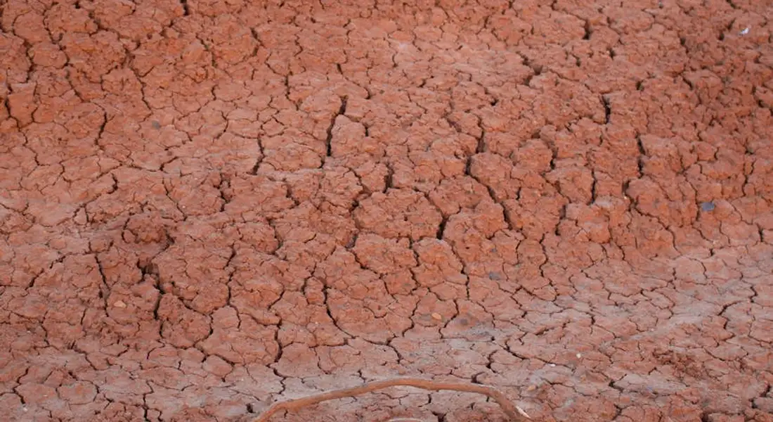 Close-up of cracked, dry earth to illustrate dehydration
