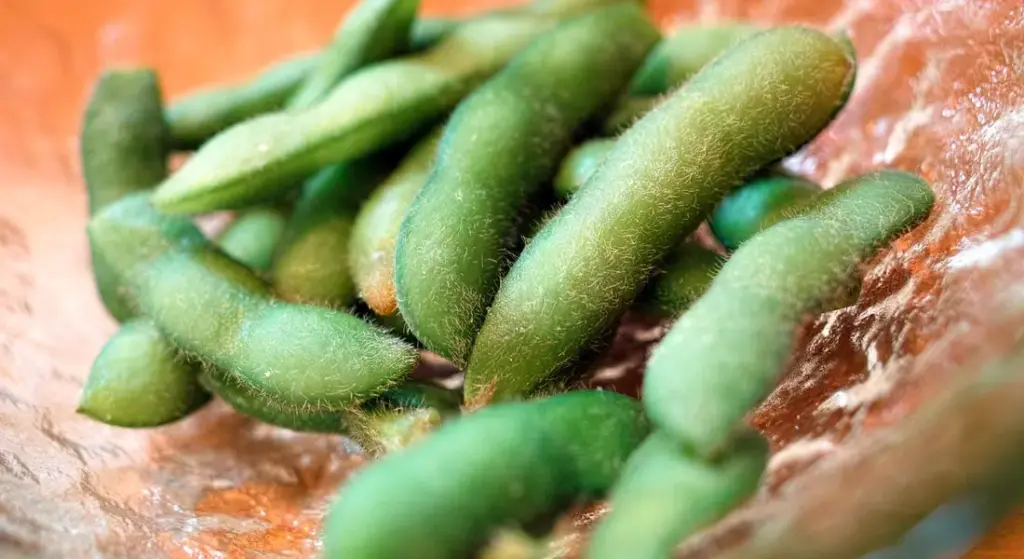 Can Guinea Pigs Eat Edamame?