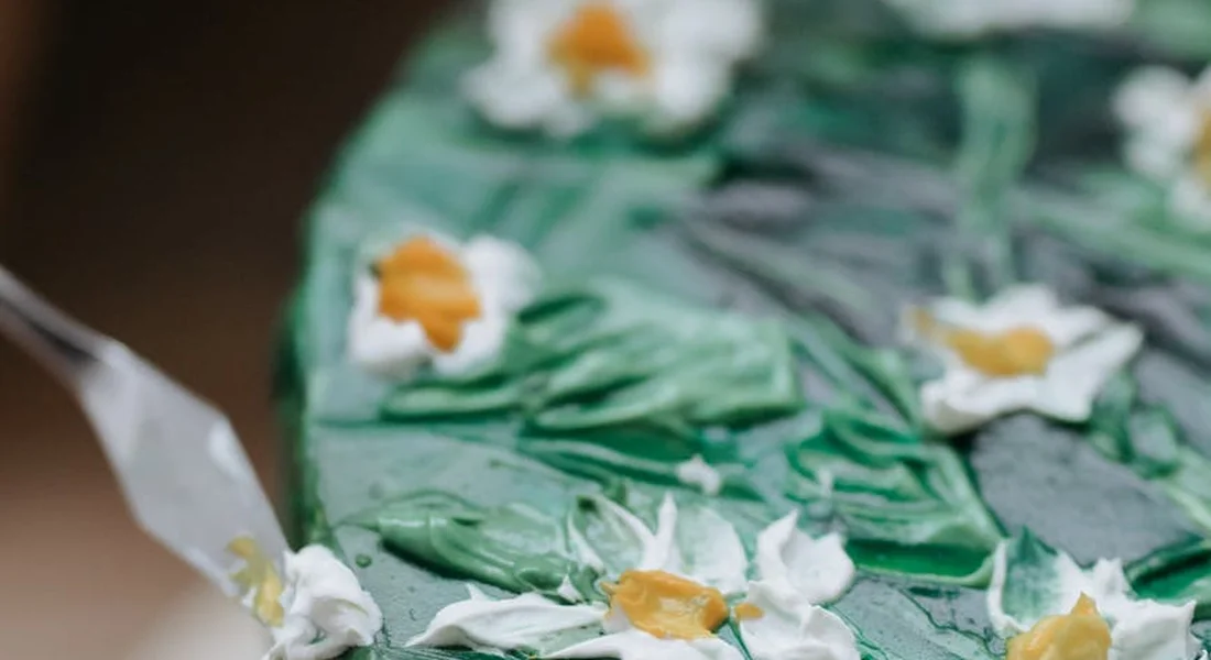 Close-up of white daisies with yellow centers arranged on a green surface