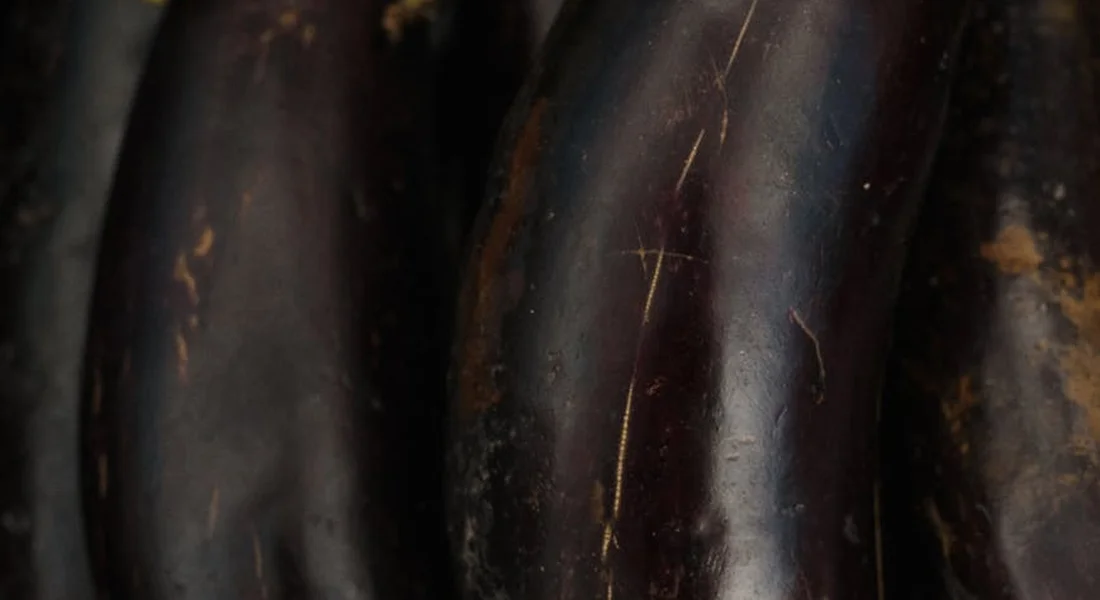 Close-up of glossy purple eggplant skins