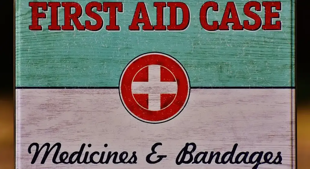 Guinea Pig First Aid Kit: Emergency Supplies Guide
