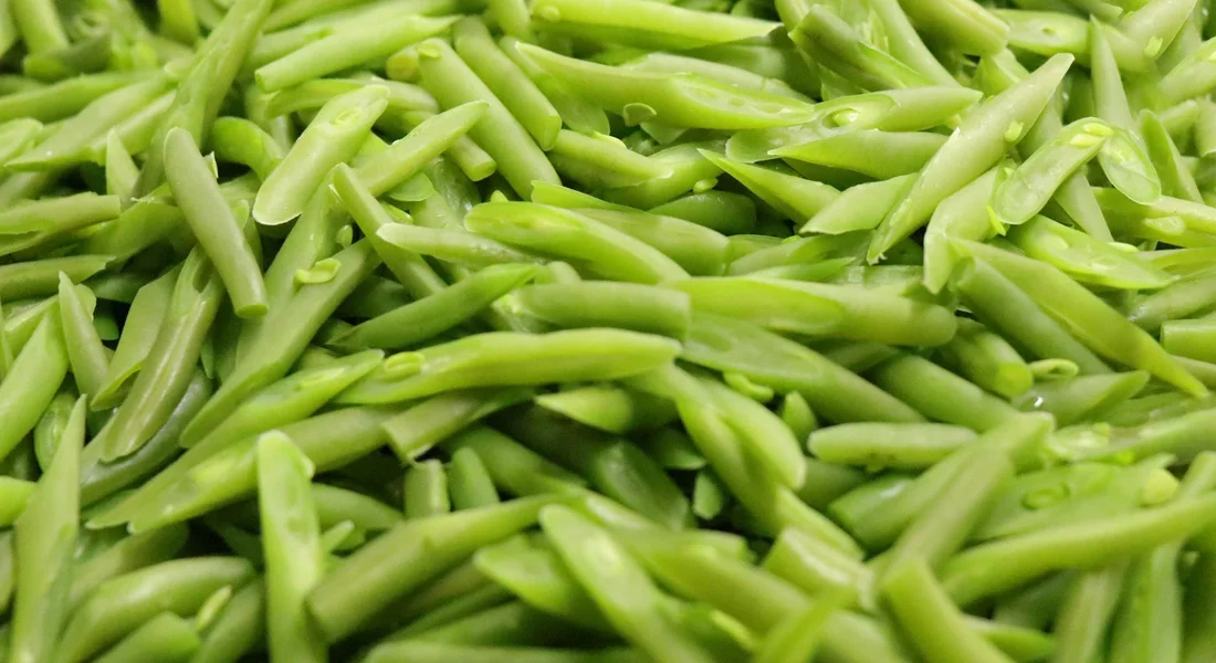 Close-up of fresh green beans