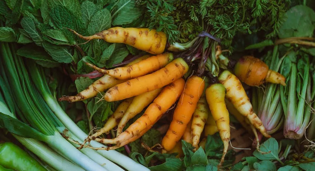 Pile of fresh carrots with green tops and other leafy greens, showcasing vibrant fresh vegetables.