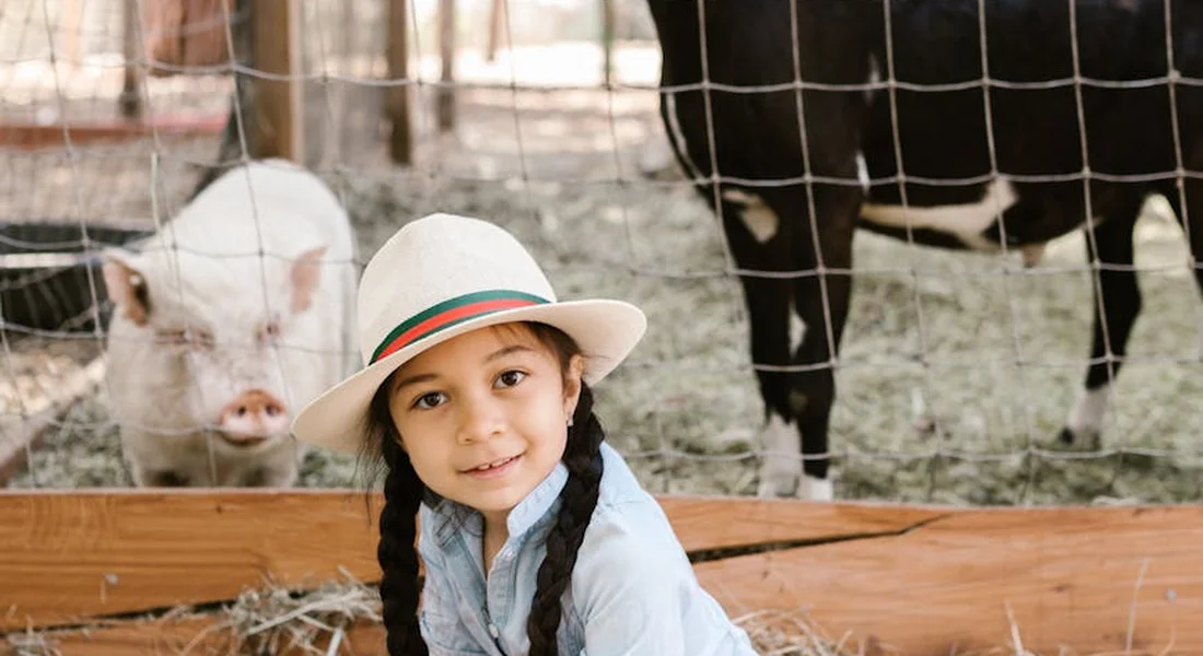 A young girl with a white hat sits beside a guinea pig in a wooden pen, with a larger dark animal behind a wire fence in a farm setting.