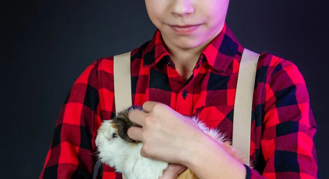 Person wearing a red plaid shirt holding a guinea pig close to their chest