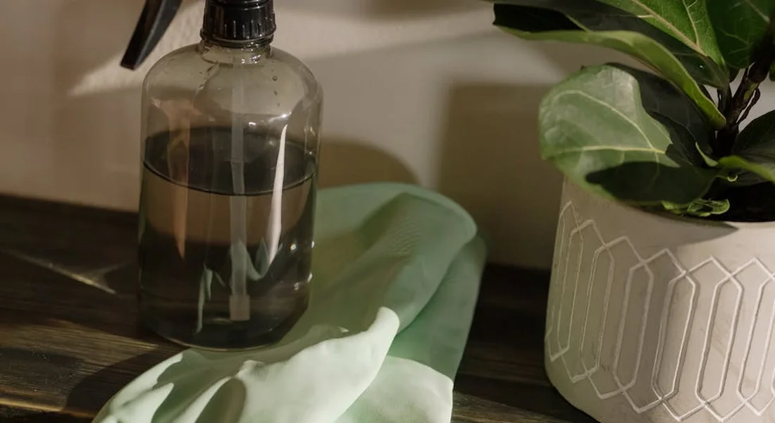Gloves and a spray bottle on a wooden surface with a potted plant nearby, suggesting eco-friendly cleaning for guinea pig cages.