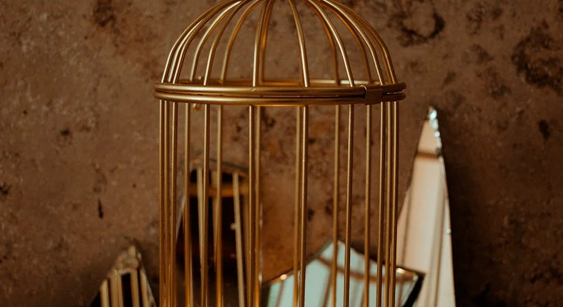 Close-up of a metal cage with vertical bars, illustrating a confinement setup and the potential escape risk for small pets.