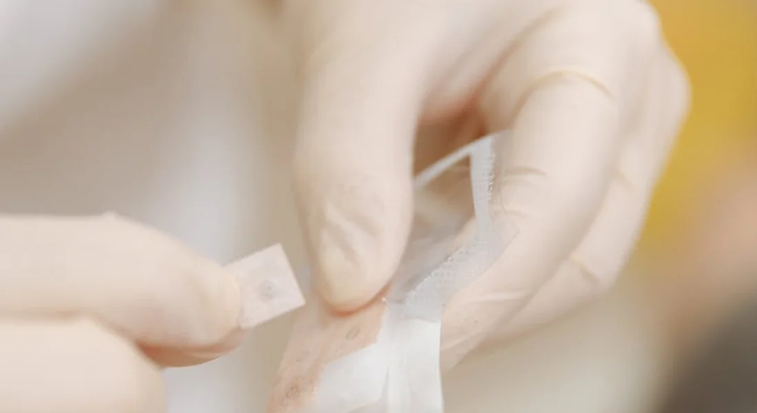Close-up of gloved hands applying a sterile bandage in a medical setting, illustrating wound care for guinea pigs.