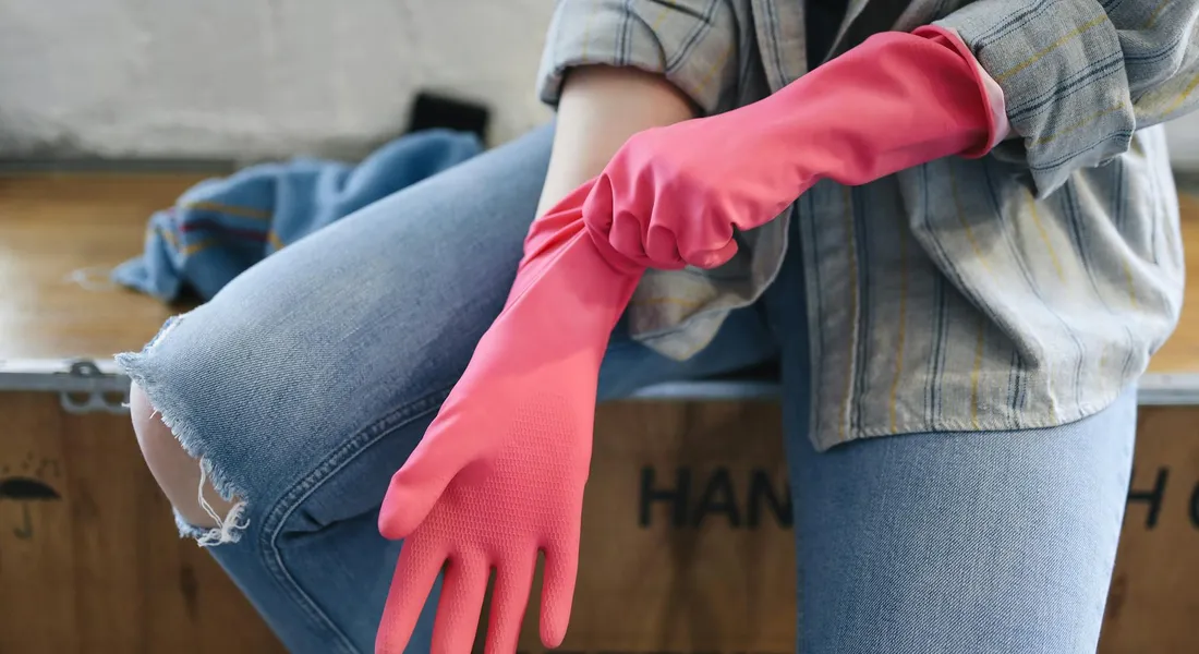 Person wearing pink rubber gloves sits on a wooden crate, preparing to clean a guinea pig enclosure
