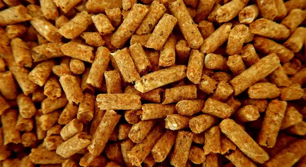 Choosing the Best Guinea Pig Pellets: Your Ingredient Guide