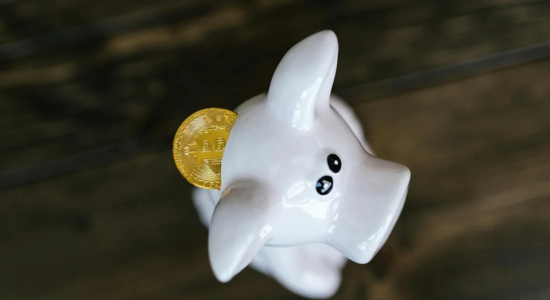 White ceramic guinea pig piggy bank with a gold coin behind its ear