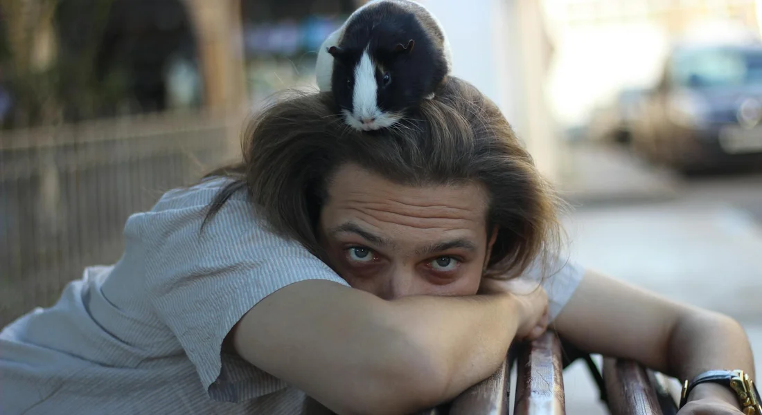 A person resting their arms on a railing with a guinea pig perched on their head, looking toward the camera.