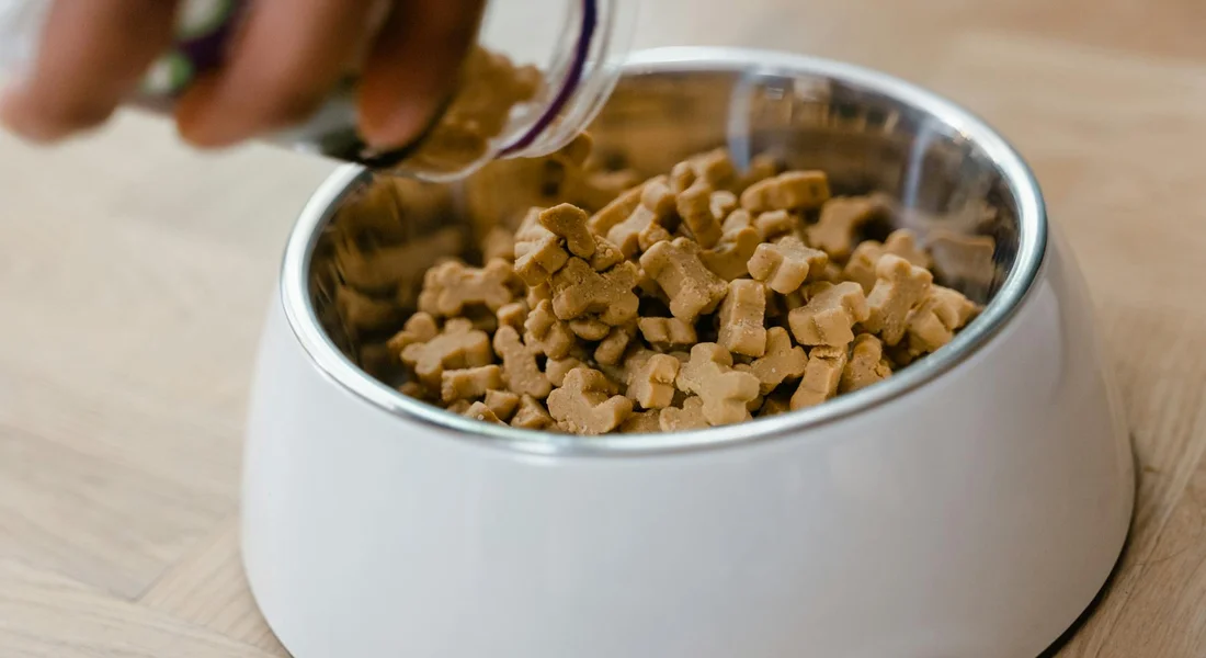 White ceramic guinea pig bowl filled with pellet food; a hand is adding more pellets into the bowl.