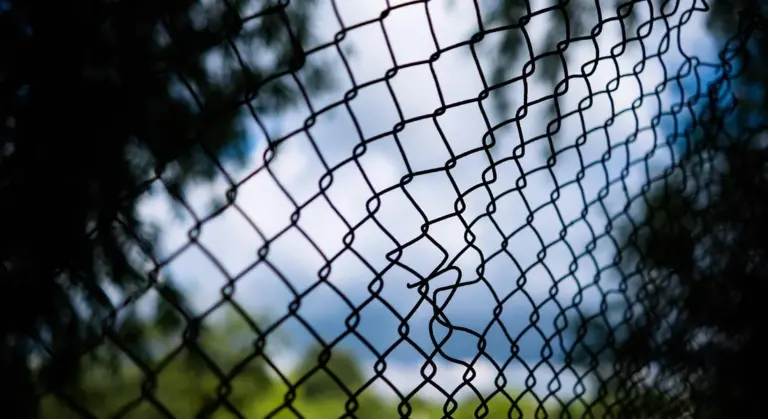 Close-up of a metal chain-link fence with a blurred outdoor background, symbolizing a barrier protecting a guinea pig cage.