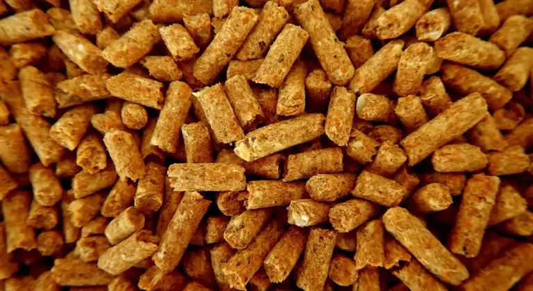 Close-up view of brown cylindrical guinea pig pellets