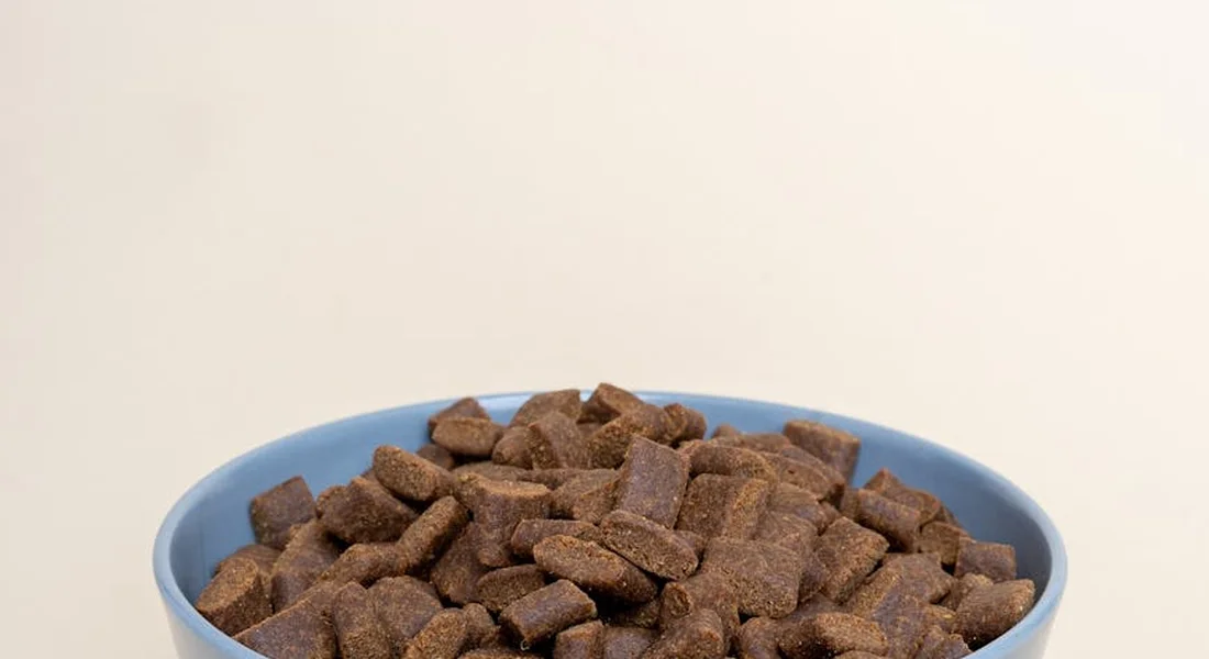 Blue bowl filled with small brown cubed guinea pig pellets.