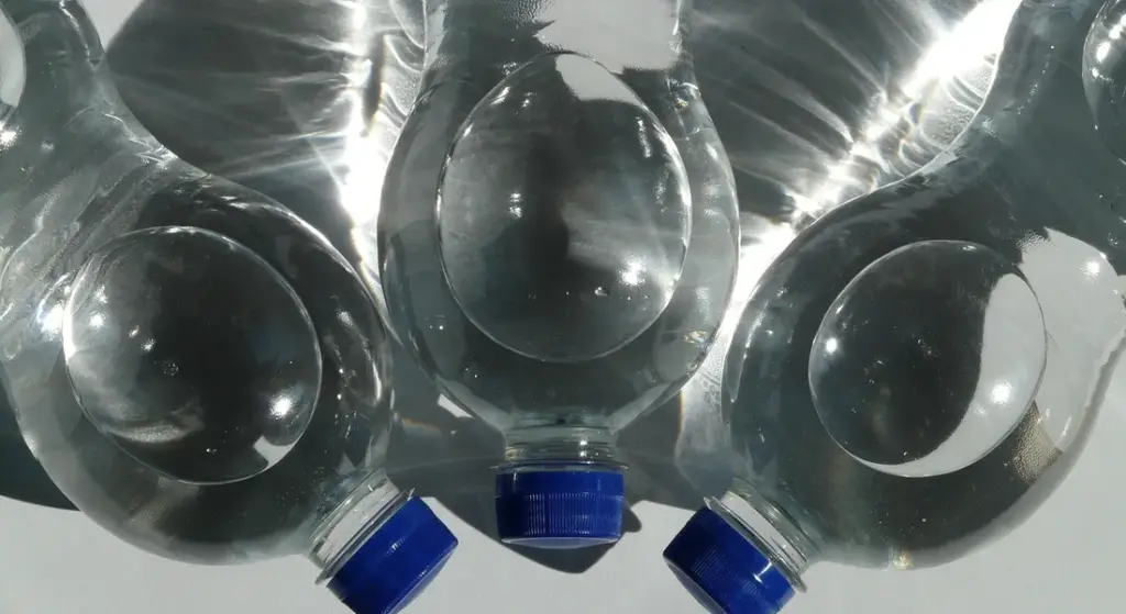 How to Clean and Maintain Your Guinea Pig’s Water Bottle