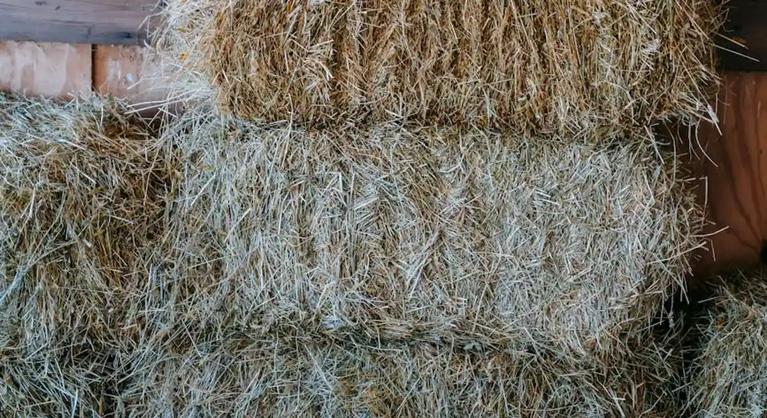 Stacks of dried hay bales in a barn.