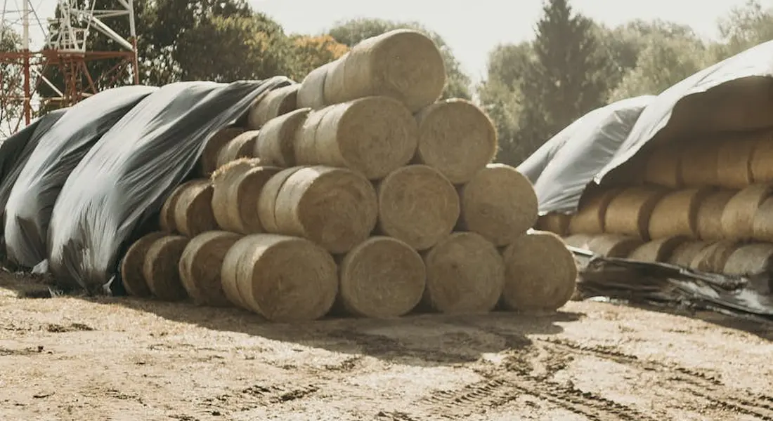 Stacked round hay bales outdoors with tarps, under a sunny sky.