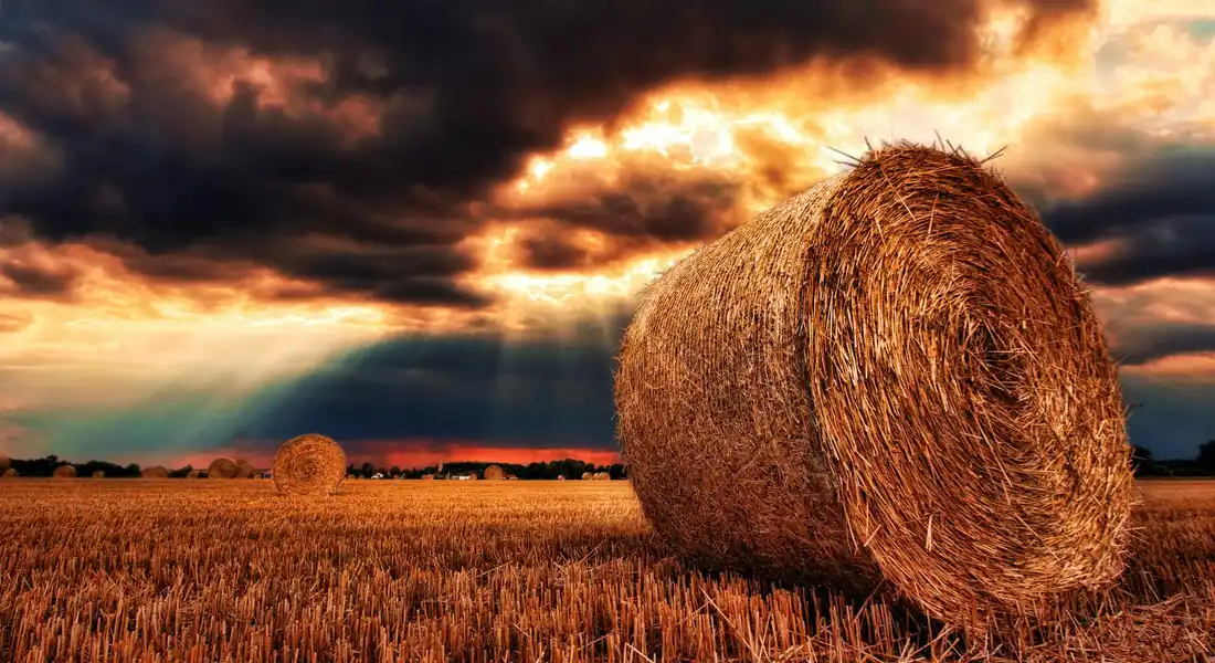 A large round hay bale sits in a golden field under dramatic, cloudy skies at sunset.