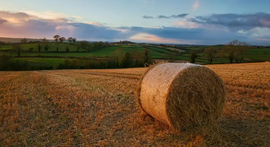 A large round hay bale in a sunlit field with rolling green hills in the background.