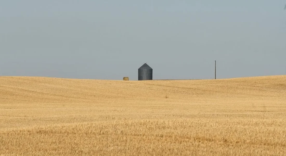 Wide golden field of grass with a distant small silo under a pale blue sky