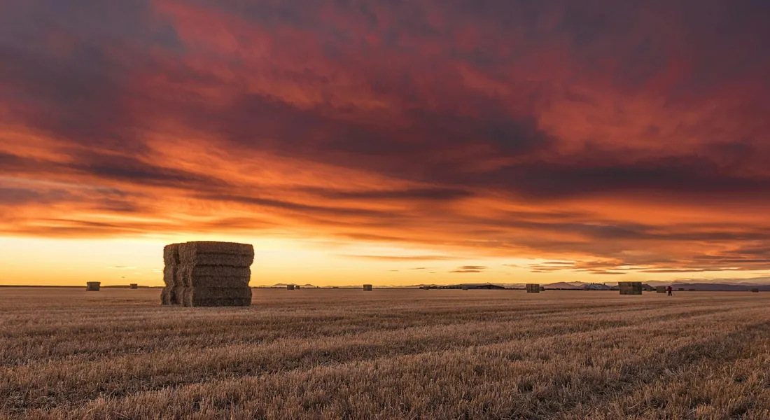 Sunset over a harvested field with stacked hay bales in the distance.