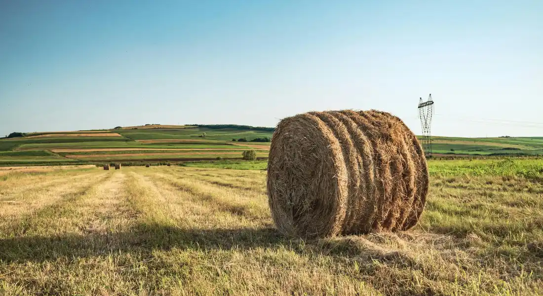 A large round hay bale in a sunlit field with a clear blue sky and distant farmland.