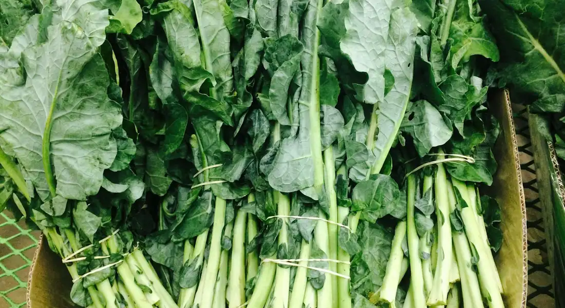 Bundles of fresh kale leaves with thick stems laid out for washing and chopping.