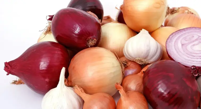 Pile of red onions, white onions, and garlic bulbs