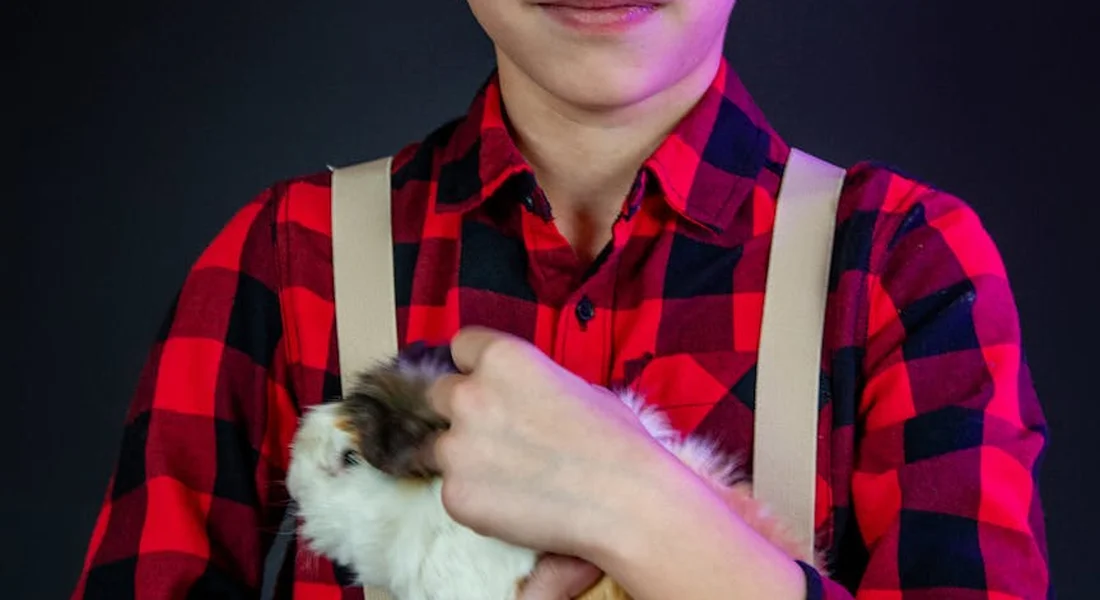 Person in a red plaid shirt gently holding a fluffy guinea pig