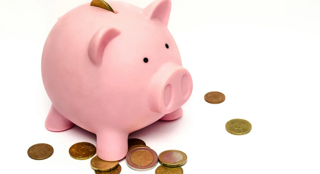 Pink piggy bank with scattered coins on a white background, symbolizing costs associated with guinea pig end-of-life services.