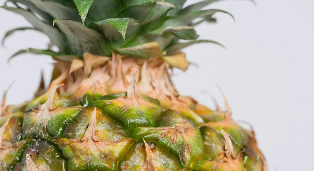 Close-up of a pineapple displaying rough, spiky skin and green crown leaves.