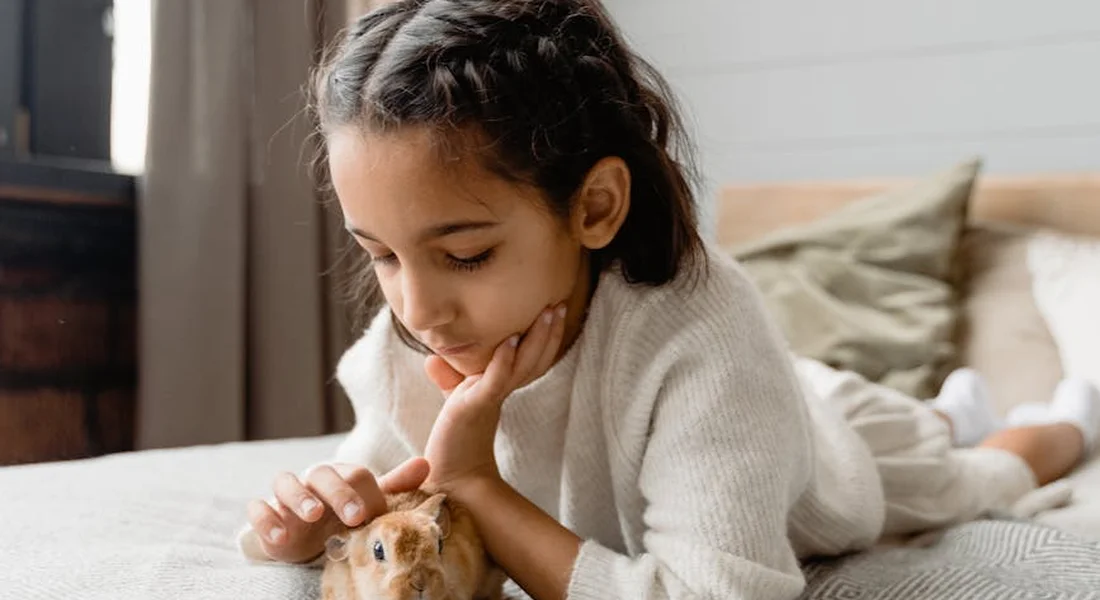 A young girl in a light sweater sits on a bed, gently petting a guinea pig.