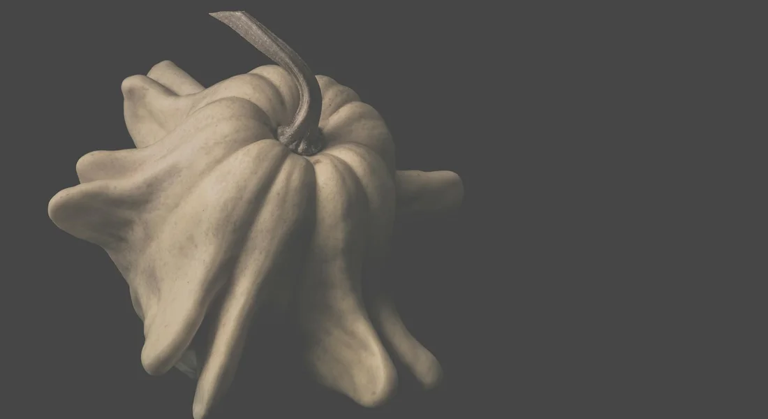 Sepia-toned pumpkin with a curved stem against a dark background