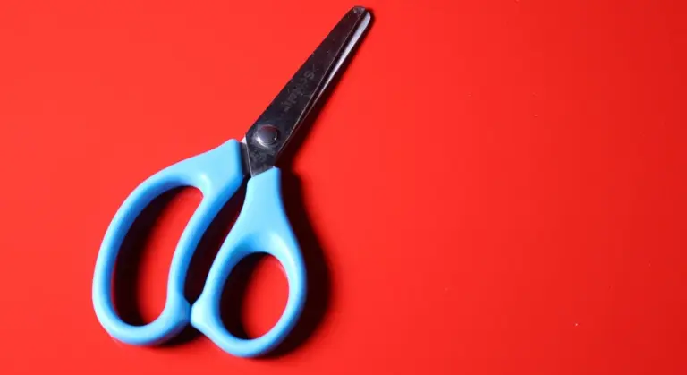 Blue-handled scissors resting on a bright red surface, a grooming tool for small pets.