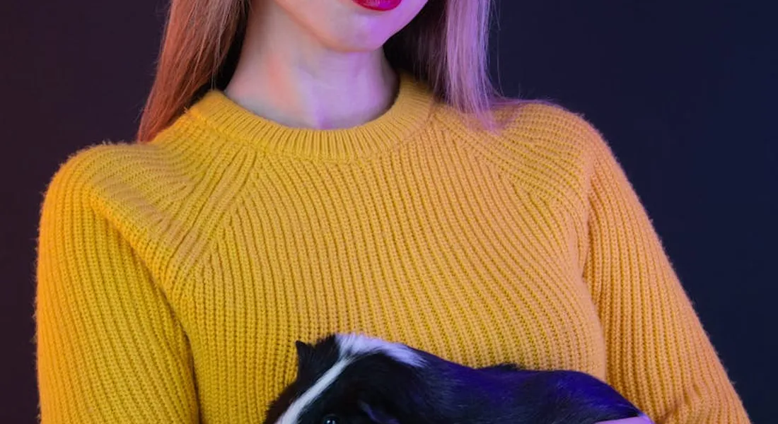 A person wearing a mustard-yellow knit sweater holds a black-and-white guinea pig, illustrating gentle daily care.