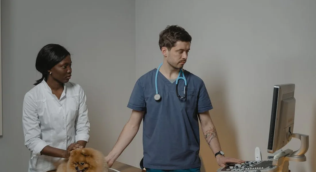 A veterinarian with a stethoscope examines a small dog while a client watches in a veterinary clinic.