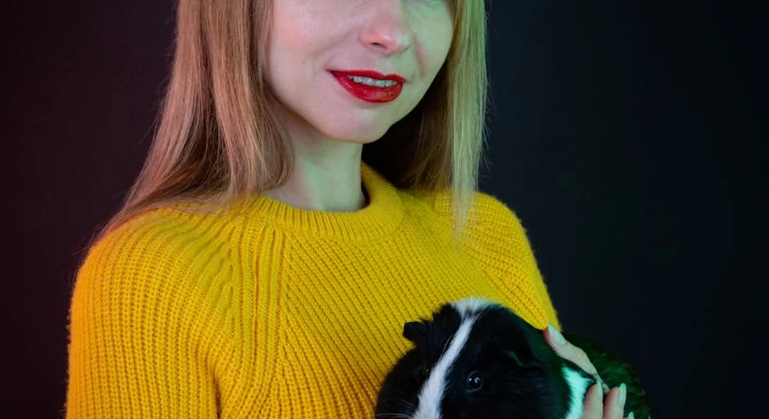 Person in a yellow sweater gently holding a black and white guinea pig.