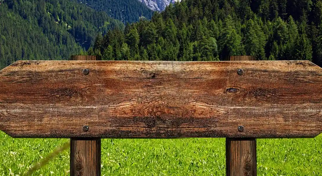 A rustic wooden signpost standing in a green meadow with a forest and distant mountains in the background.